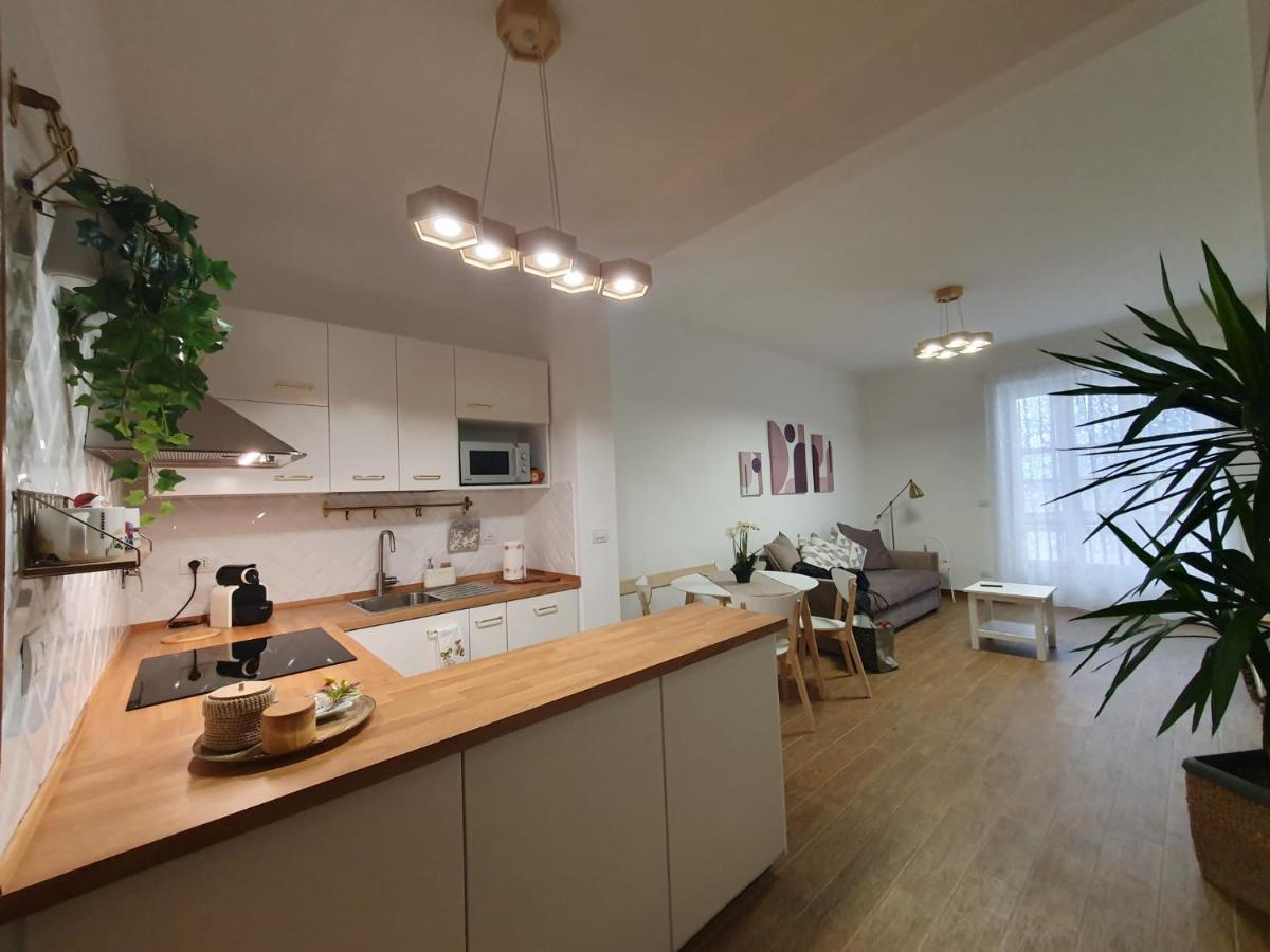 Casa Enne, Appartamento Vicino Centro E Juventus Stadium トリノ エクステリア 写真